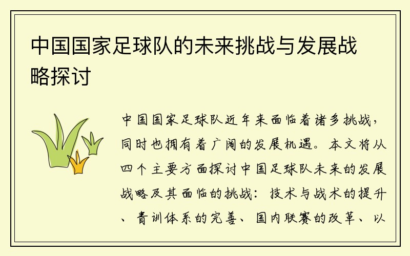 中国国家足球队的未来挑战与发展战略探讨
