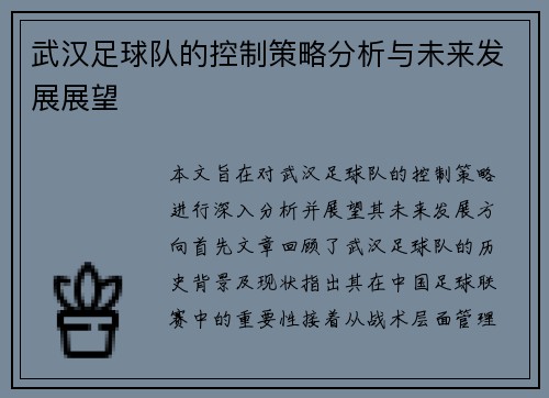 武汉足球队的控制策略分析与未来发展展望